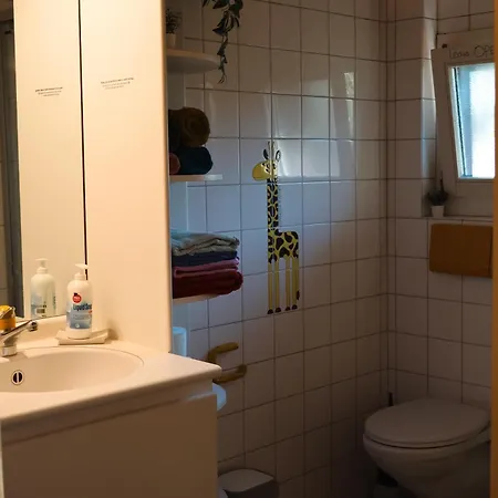 Waergistal Appartement Grindelwald