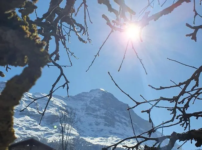 Waergistal Appartement *