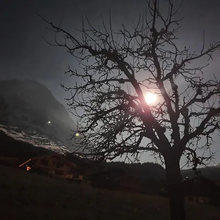 Διαμέρισμα Waergistal *