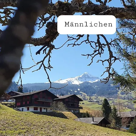 Waergistal Apartamento Grindelwald