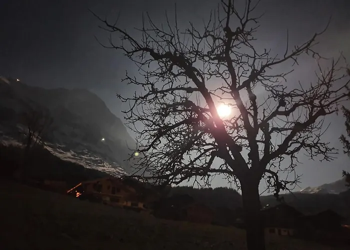 Apartmán Waergistal *